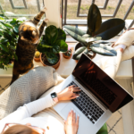 start an email list