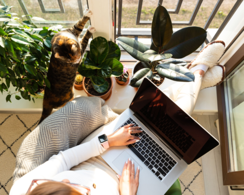 Pinterest for Bloggers